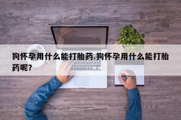 流产药微信狗怀孕用什么能打胎药.狗怀孕用什么能打胎药呢？