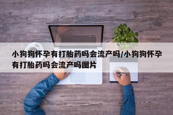 流产药微信小狗狗怀孕有打胎药吗会流产吗/小狗狗怀孕有打胎药吗会流产吗图片