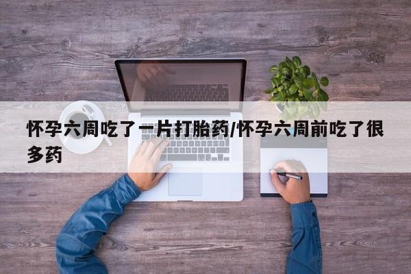 流产药微信怀孕六周吃了一片打胎药/怀孕六周前吃了很多药