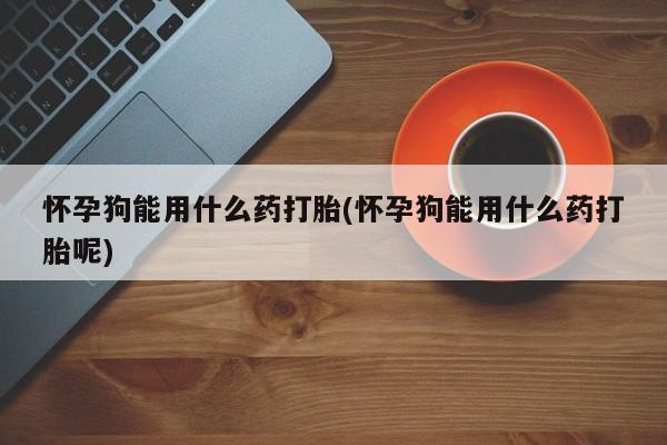 流产药微信怀孕狗能用什么药打胎(怀孕狗能用什么药打胎呢)