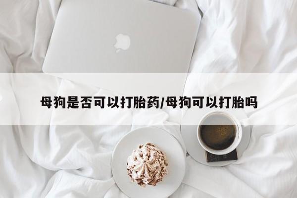 流产药微信母狗是否可以打胎药/母狗可以打胎吗
